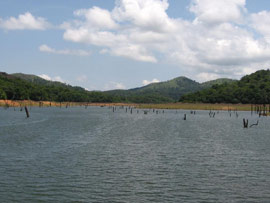 Day 11: Periyar – Kumarakom