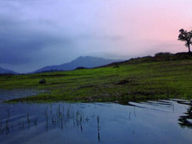 Day-03 : Wayanad-Coorg